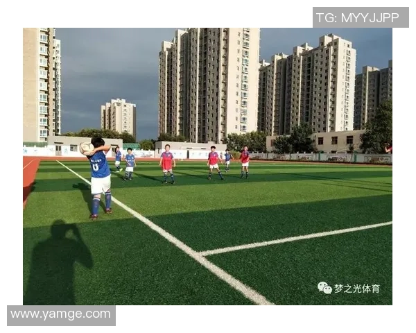 辽西男足球星崛起之路及其对中国足球发展的深远影响 辽西男足球星崛起之路及其对中国足球发展的深远影响