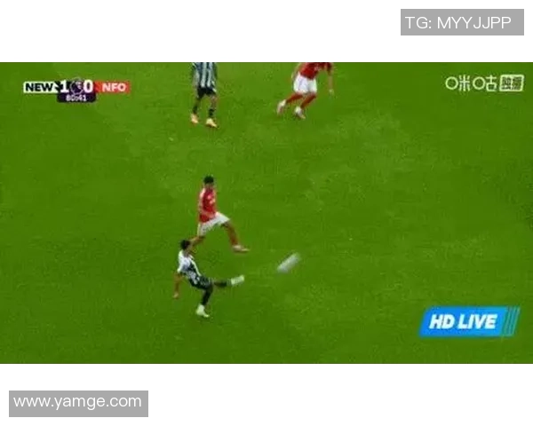 追踪足球明星动态的必备软件推荐及功能解析 追踪足球明星动态的必备软件推荐及功能解析